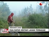 186 Titik Api Terlihat di Kebakaran Lahan dan Hutan Provinsi Riau