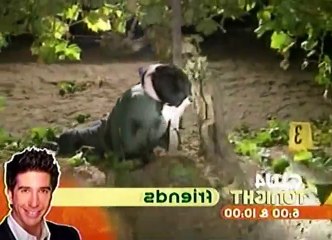 Cops S09 - Ep27 Fresno, CA 3 HD Watch