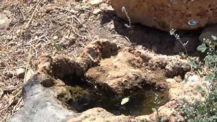 Devlet Desteğiyle Doğal Bal Üretiyor