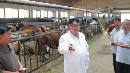 北 김정은, 목장·어업사업소 시찰 / YTN