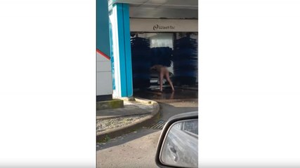 Se laver aux rouleaux