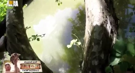 Call of the Wildman S04 - Ep09 Tough Cookies HD Watch