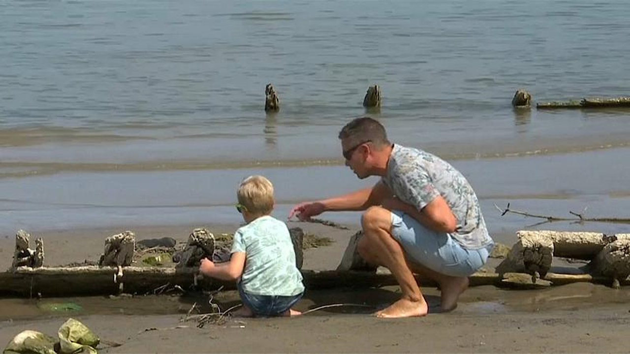 Schiffswrack im Rhein: Geschichte zum Anfassen