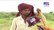 Ahmedabad: Cattle breeders walk miles to feed cattles- Tv9 Gujarati