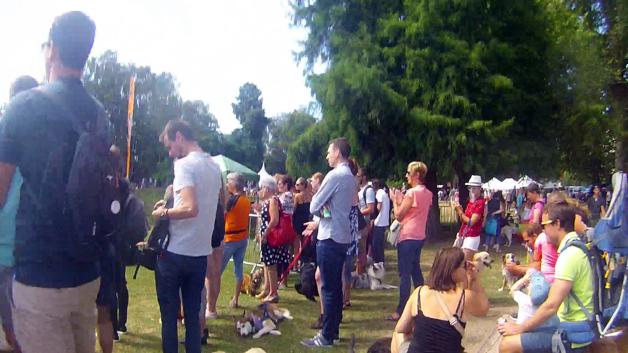 Journée du Chien 2018 à Hélécines - 1