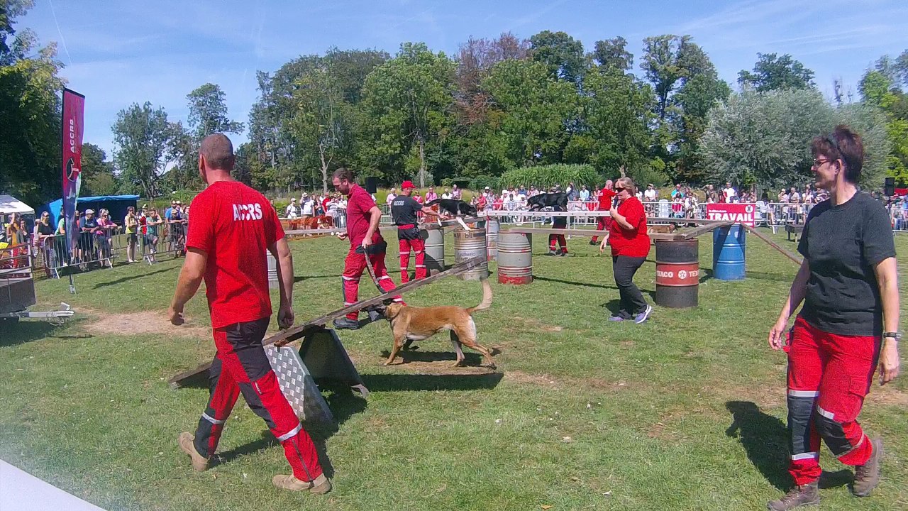 Journée du Chien 2018  à Hélécines - 2