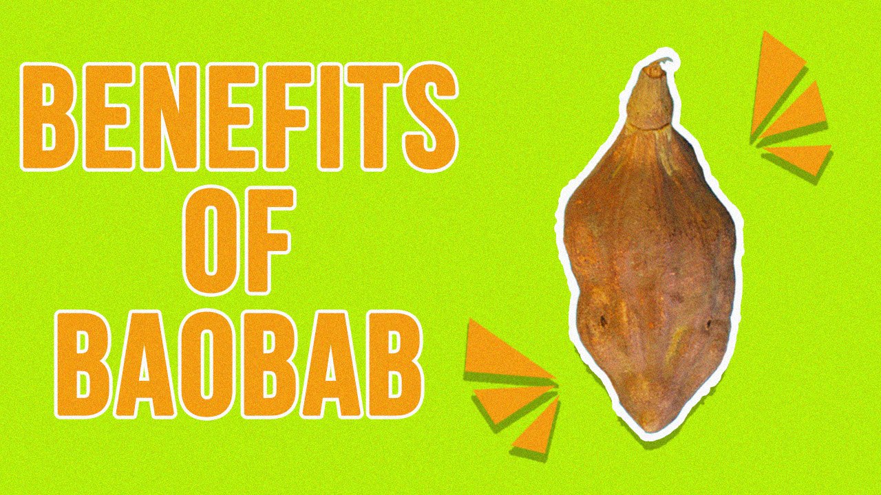 Benefits Of Baobab Fruit video Dailymotion