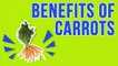 Why You Should Eat More Carrots