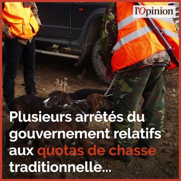 Brigitte Bardot VS Nicolas Hulot: des lettres ouvertes au clash médiatique