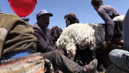 Tek bacakla 20 yıldır çobanlık yapıyor - BİTLİS