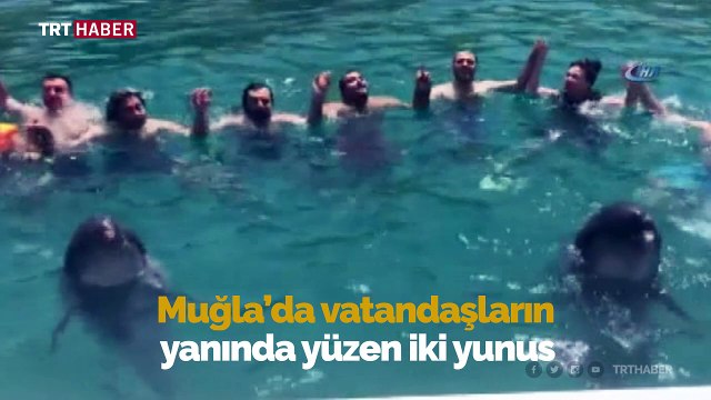 Yunuslar vatandaşlarla horon oynadı