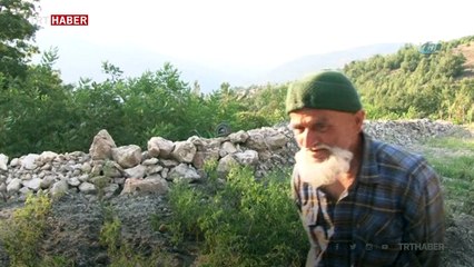 Ormandaki kulübesinde 30 yıldır tek başına yaşıyor