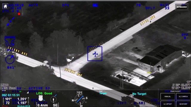 Regardez qui aide la police à arrêter une voleuse de voiture : un troupeau de vaches