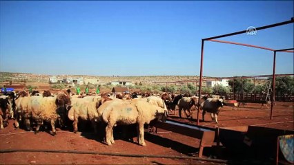 İHH Suriyeli ailelerin yüzünü güldürecek