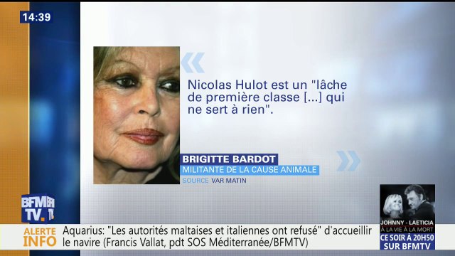 Nicolas Hulot répond à Brigitte Bardot qui l'avait traité de lâche de première classe