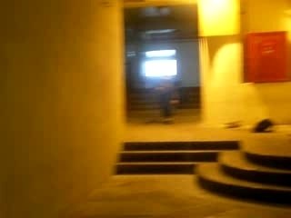 Trois marches pergola thomas