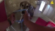 Des policiers sauvent des animaux lors de l'incendie de leur refuge
