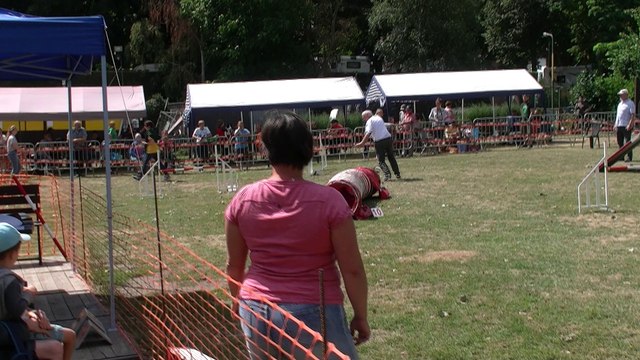 Concours d'agility Mon chien mon ami (Quaregnon) (4)