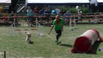 Concours d'agility Mon chien mon ami (Quaregnon)