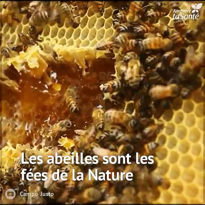 Le venin de l'abeille a un grand potentiel pharmacologique pour traiter diverses maladies. Que diriez-vous d'en savoir plus à ce sujet ?