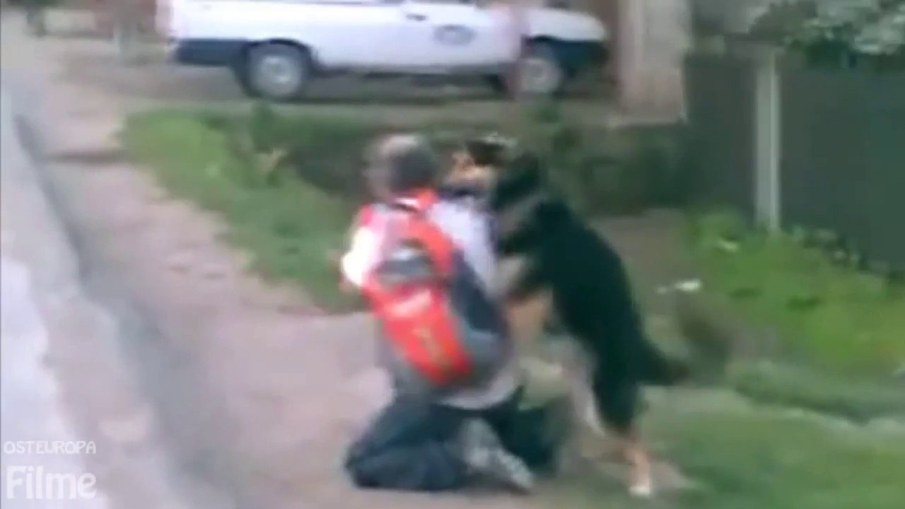 Betrunkener gegen Hund