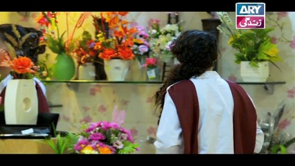 Saheliyaan Episode 03 & 04 - on ARY Zindagi in High Quality 16th August 2018