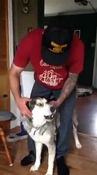 Il démarre son chien-moto ! LOL