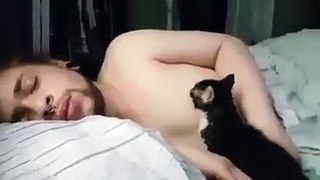 Omg What This Cat Doing To Its Drowsy Human Is Freaking Weird