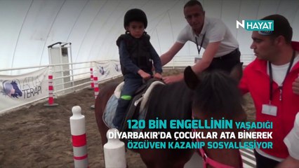 N Hayat... Atlar engelli çocukların umudu oldu!