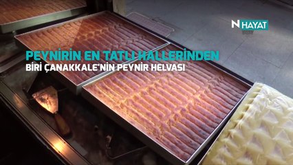 N Hayat... İşte peynirin en tatlı halleri!