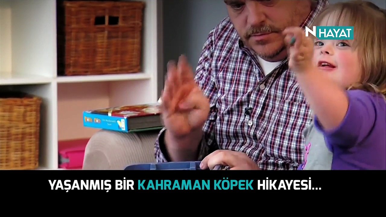 N Hayat... Yaşanmış bir kahraman köpek hikayesi