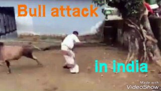 Bull  attacking on street in india