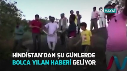 N Hayat... Yılanla “selfie”nin bedeli acı oldu!