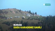 N Hayat... Sarı ve kızıl tonlarından oluşan eşsiz bir manzara!