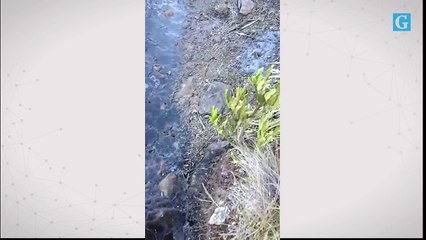 Gelo se forma no Caparaó