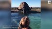 Un éléphant vient boire dans la piscine d'un hotel sous les yeux de cette jeune touriste
