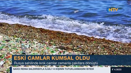 Dünyanın Haberi 31 Ocak 2017