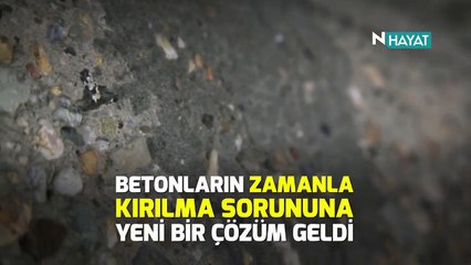 N Hayat...Kendini tamir eden beton