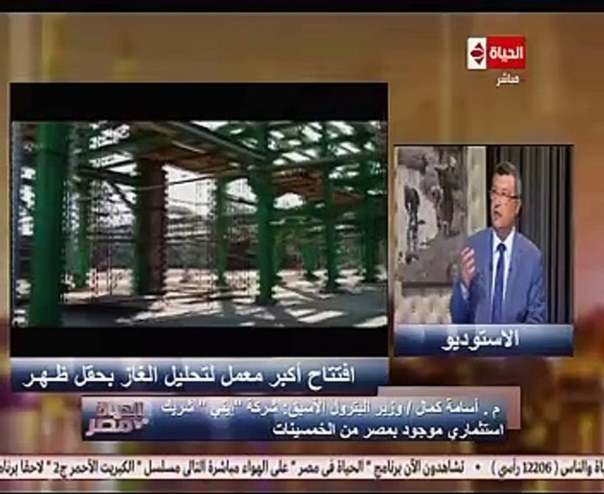 وزير البترول الأسبق: أكثر من 14 مليار دولار است...