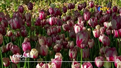 Ayrıcalıklı Rotalar/Konya 17 Haziran 2017