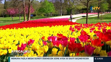 Ayrıcalıklı Rotalar/Loire Vadisi 13 Mayıs 2017
