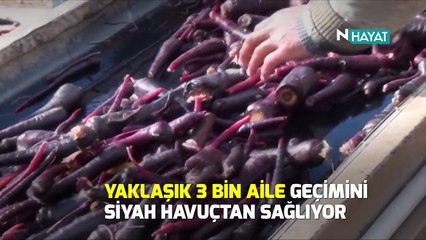 N Hayat... Siyah havuç artık patentli