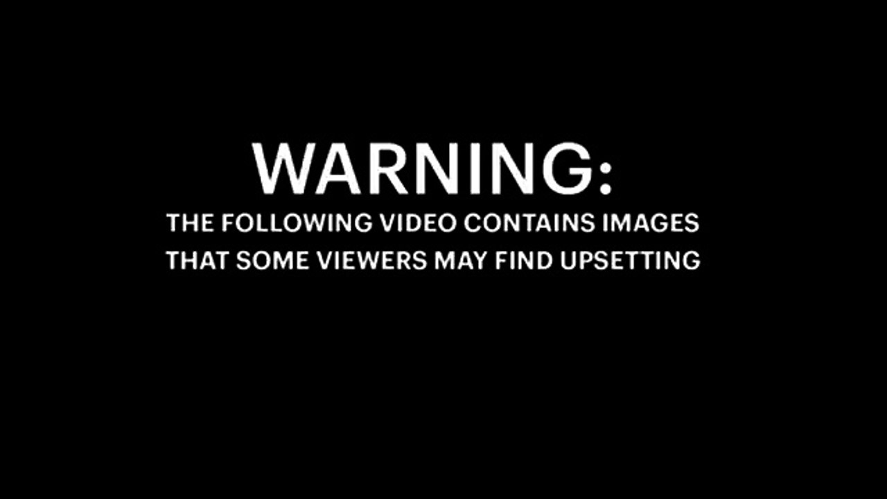 Video Jovem filma cão dentro da máquina de lavar roupa para ganhar seguidores no Instagram