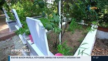 Ayrıcalıklı Rotalar/İstanbul-Adalar 19 Ağustos 2017