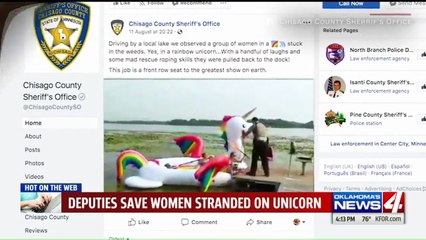 Oklahoma Mother`s Viral Plea for Cat That Looks Like Garfield Ends with Play Date