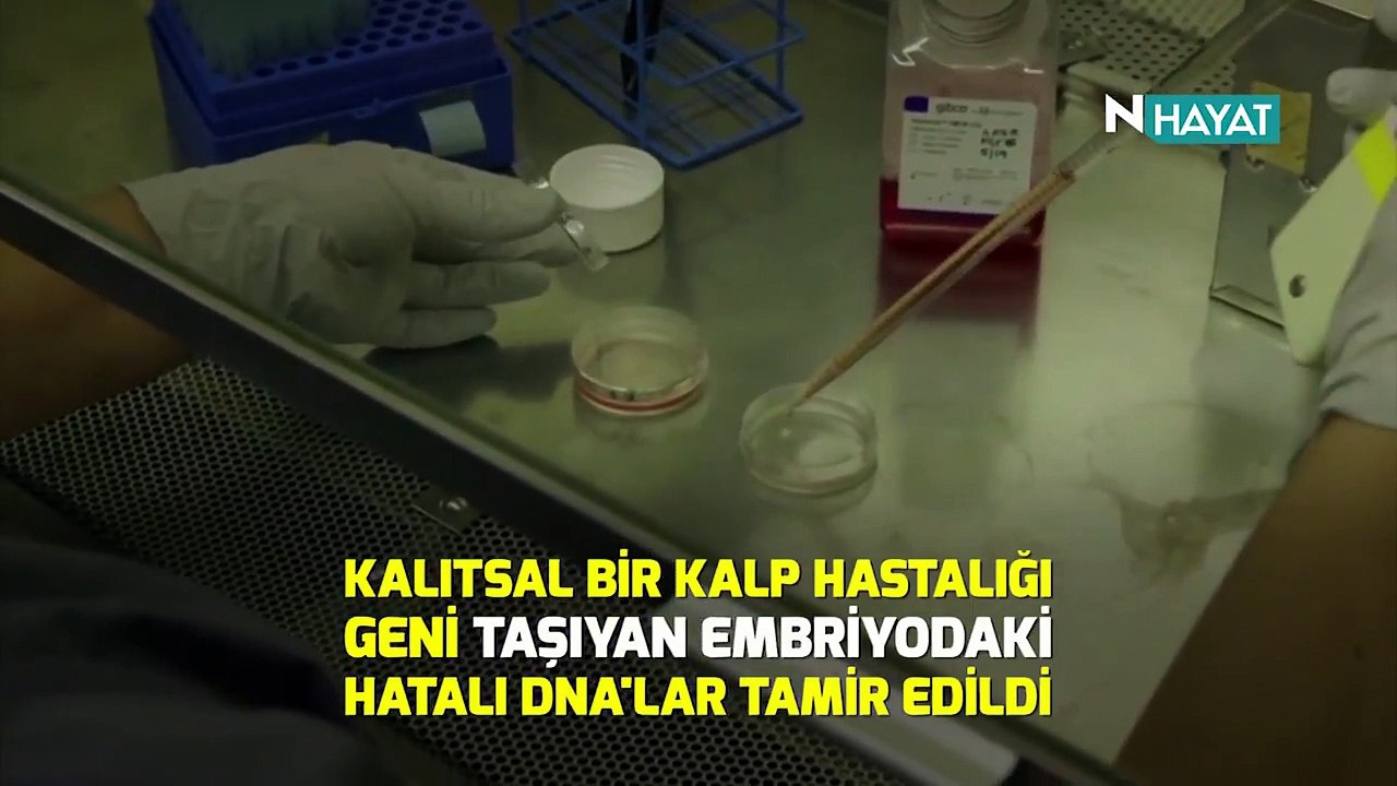 N Hayat...  Mükemmel gen mümkün mü?
