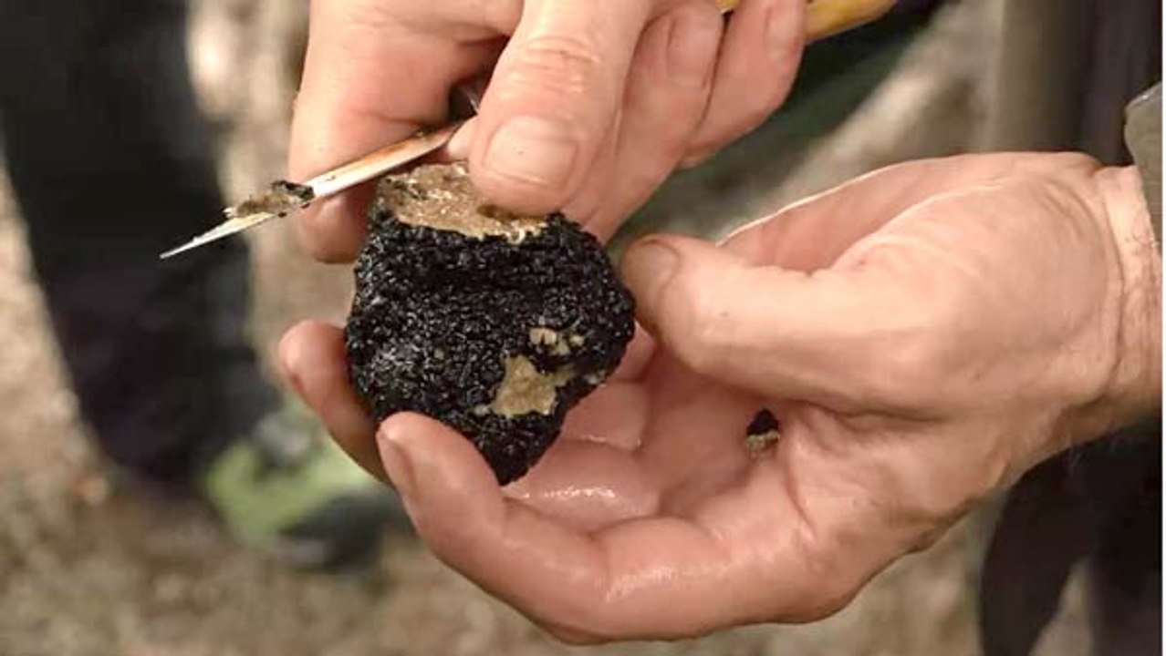 Kanton Vaud – Suche nach dem „schwarzen Gold“