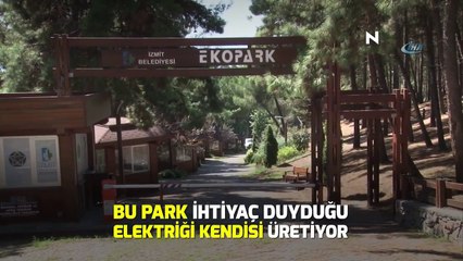 N Hayat... Kendi enerjisini üretiyor (Fazlasını satıyor)