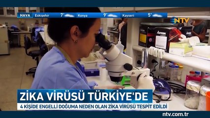 Zika virüsü tehdidi (Türkiye'de 4 kişide tespit edildi)