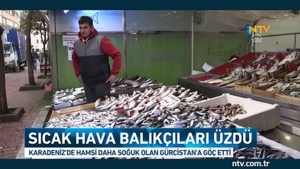 Sıcak hava balıkçıları üzdü